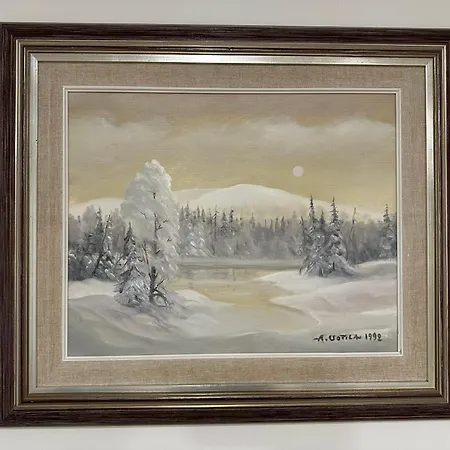 别墅 Nordic Living 罗瓦涅米