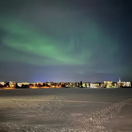 فيلة Nordic Living